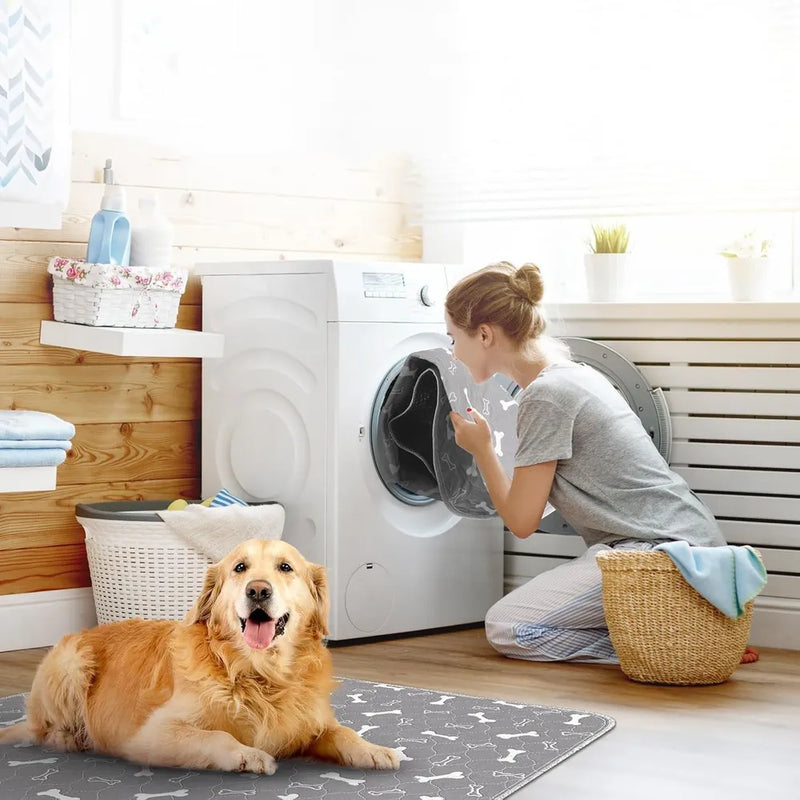 WooofPals in washing machine