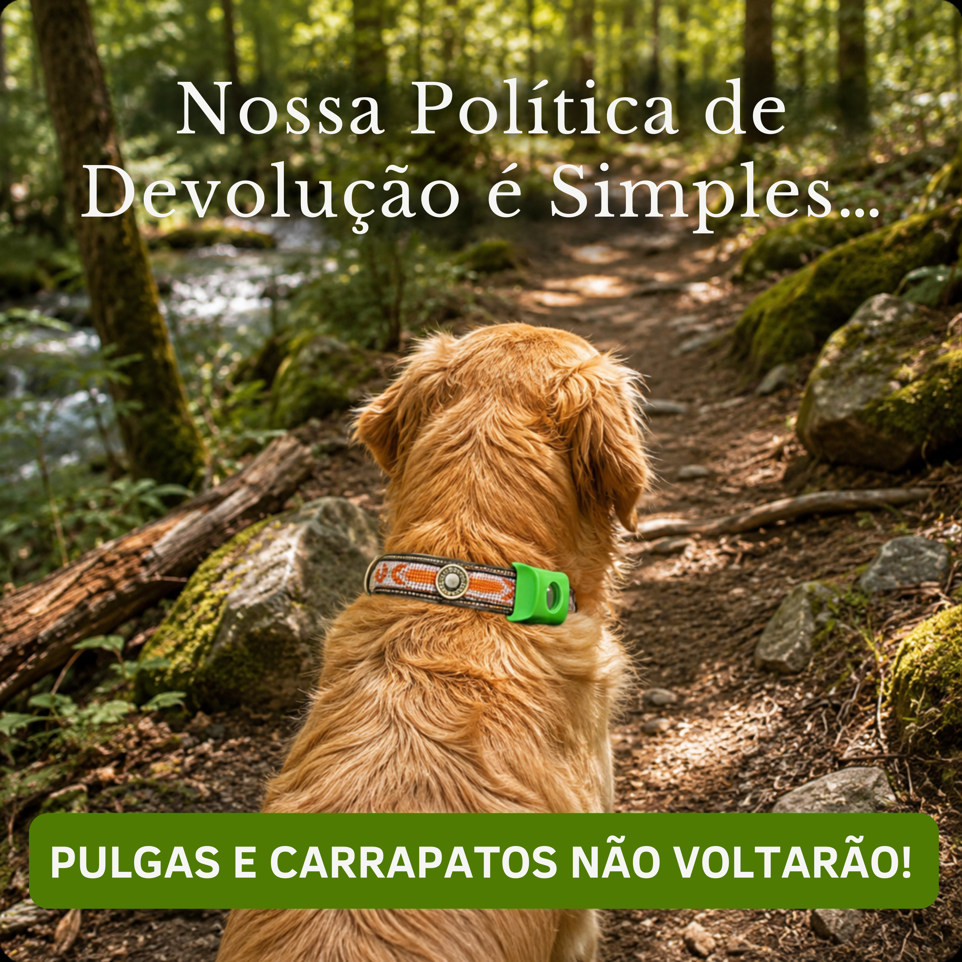 WooofPals™ Coleira Antipulgas e Carrapatos — 12 Meses de Proteção