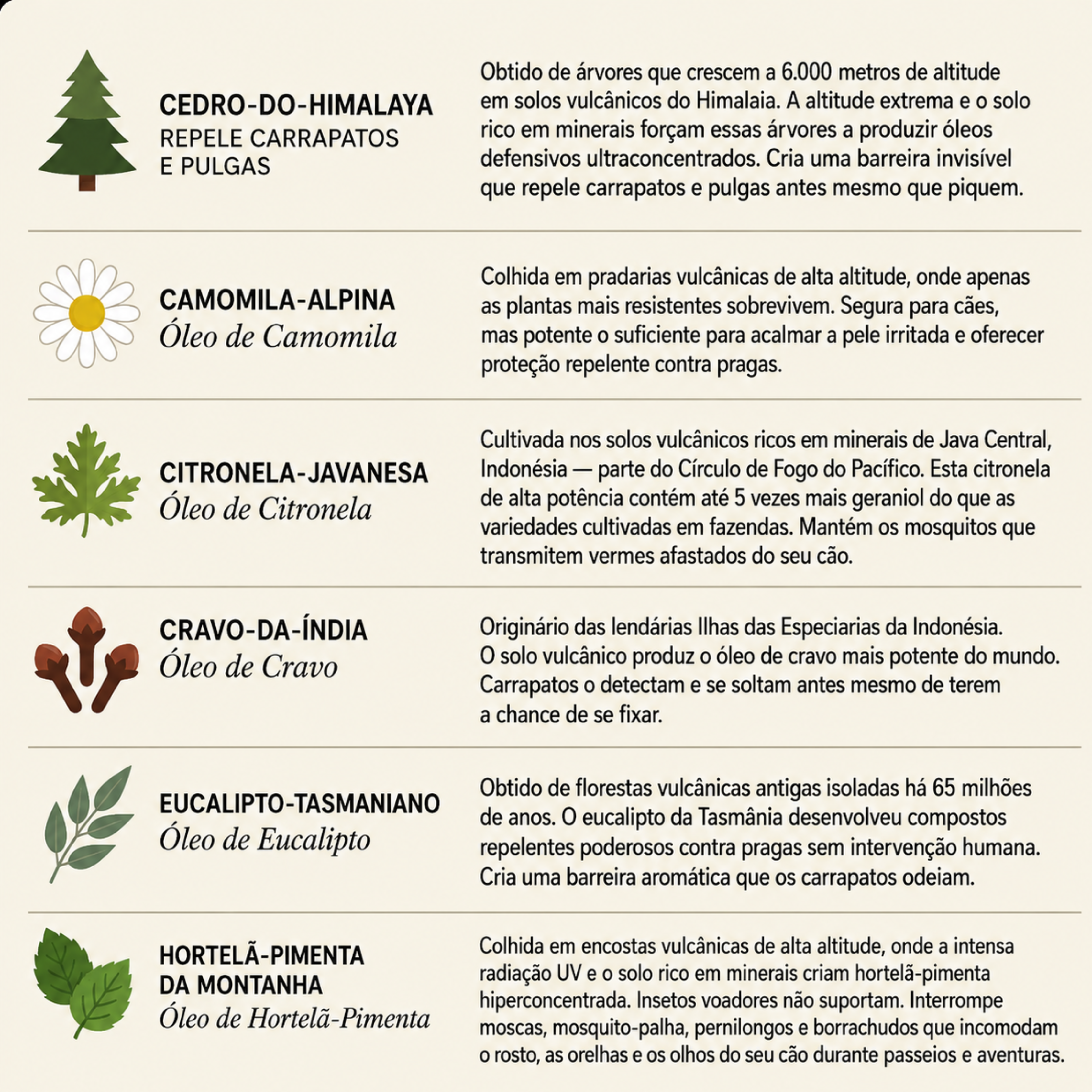 WooofPals™ Coleira Antipulgas e Carrapatos — 12 Meses de Proteção
