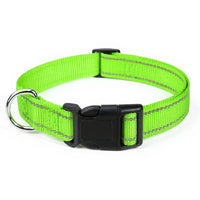 Dog Harnesses
